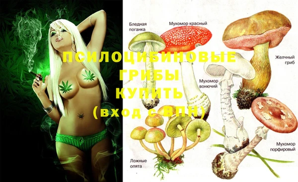 марихуана Няндома