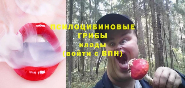 герыч Куровское